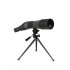 Celestron LandScout 20-60x65 with Smartphone Adapter